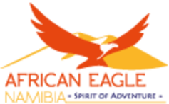 logo DMC African Eagle