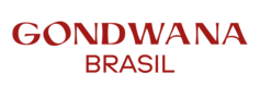 logo DMC gondwanabrasil