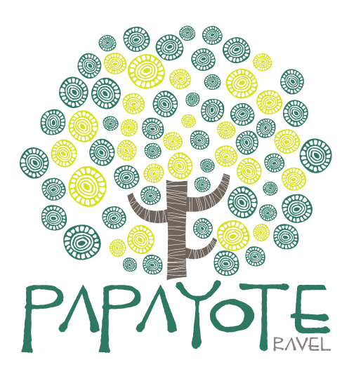 logo DMC papayote travel agency